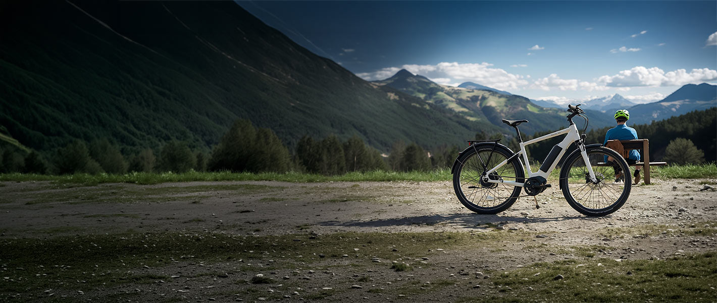Electric Mountain Bikes