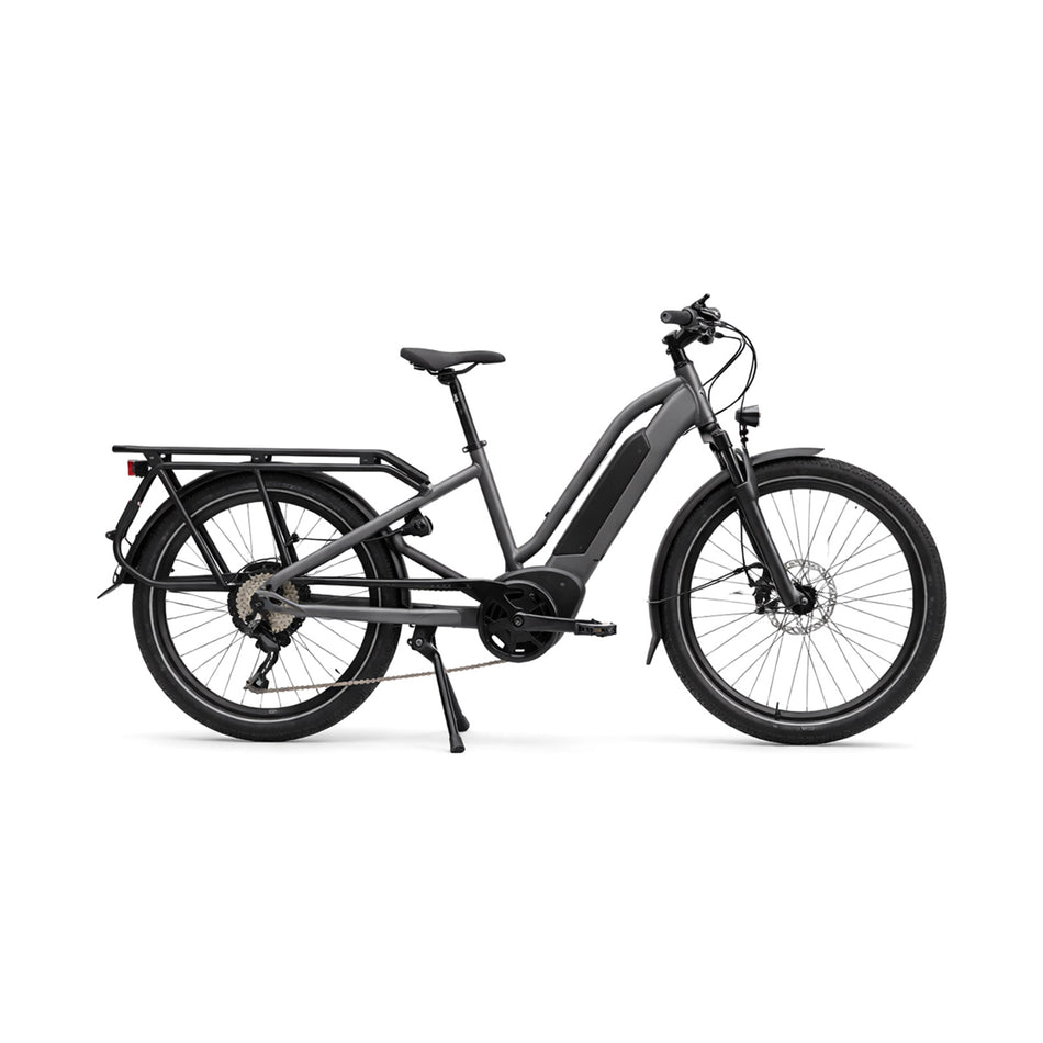 CargoFlex Utility E-Bike 9 Speed