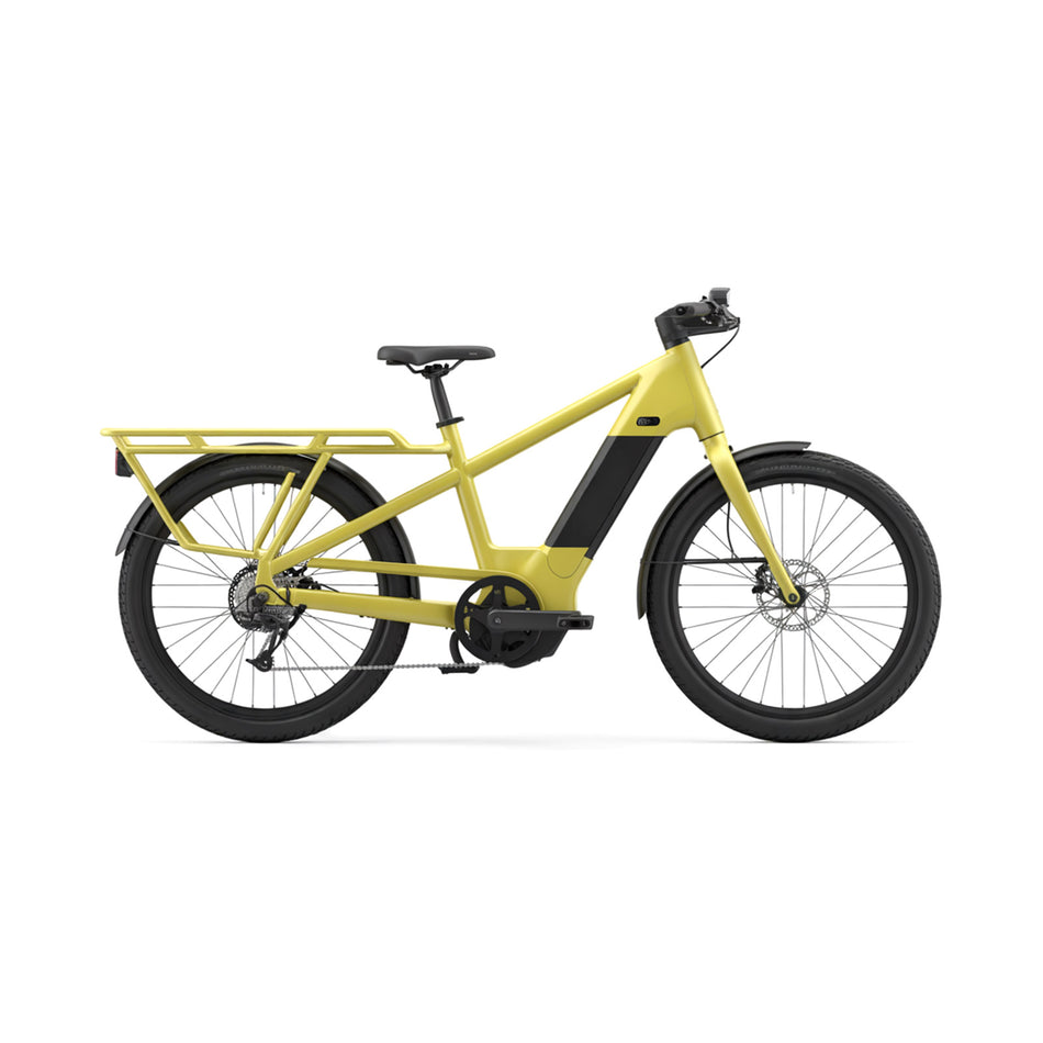 Loadster Pro Cargo E-Bike 10 Speed