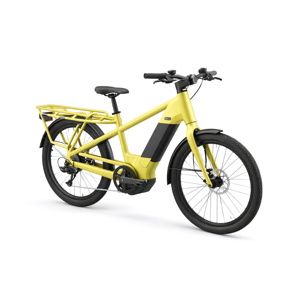 Loadster Pro Cargo E-Bike 10 Speed