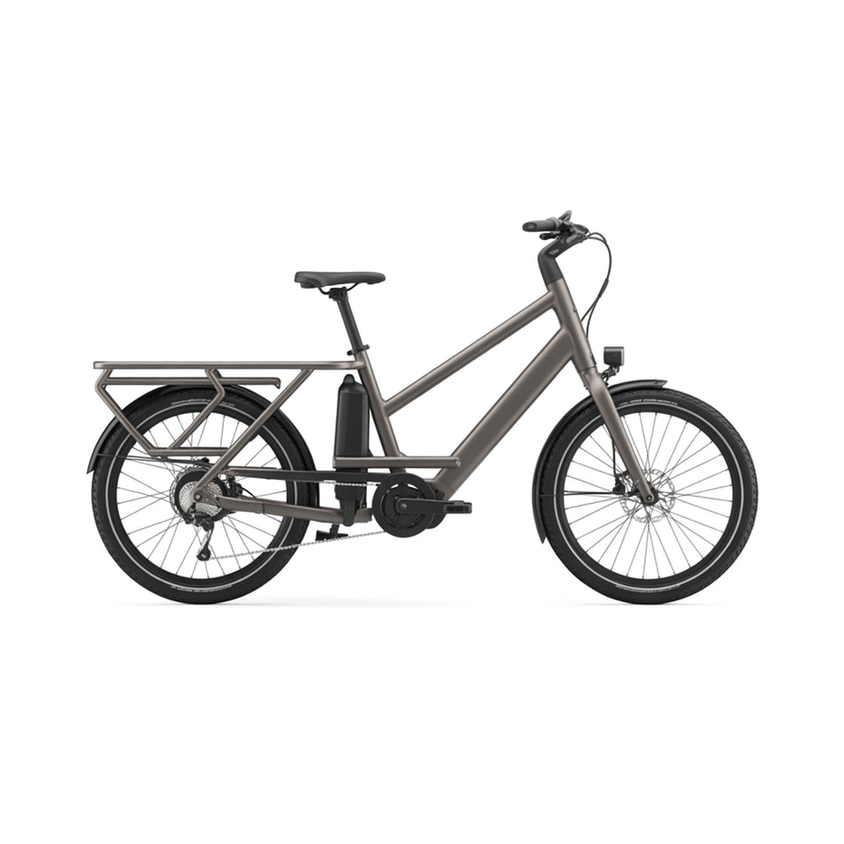 Carryon Plus Cargo E-Bike