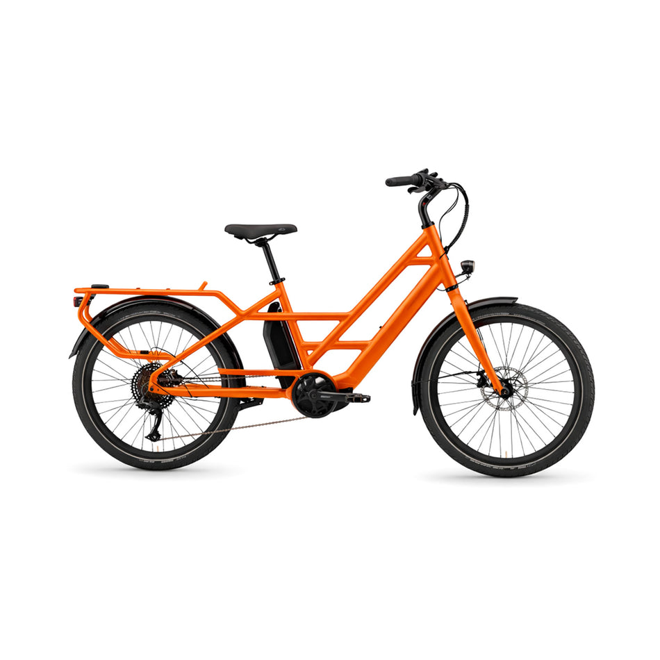 Heavy-Duty Utility Cargo E-Bike