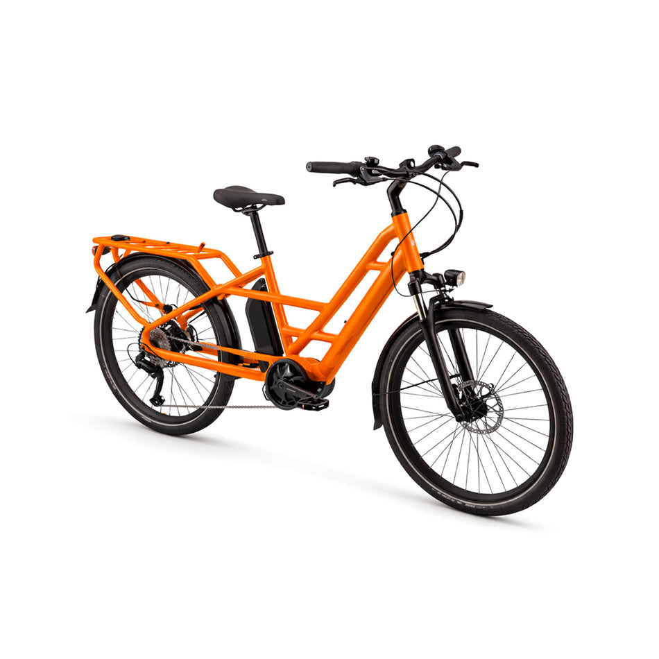 Heavy-Duty Utility Cargo E-Bike