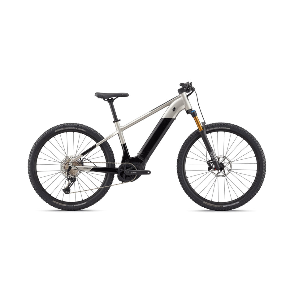 Alpine Trail E-MTB Performance