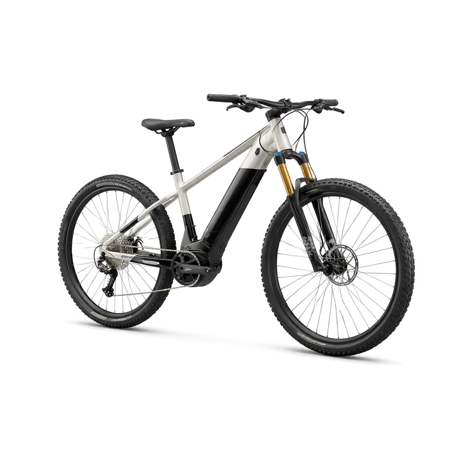 Alpine Trail E-MTB Performance