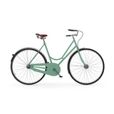 2025 City Elite Meta F12 Hardtail Carbon Classic Bike