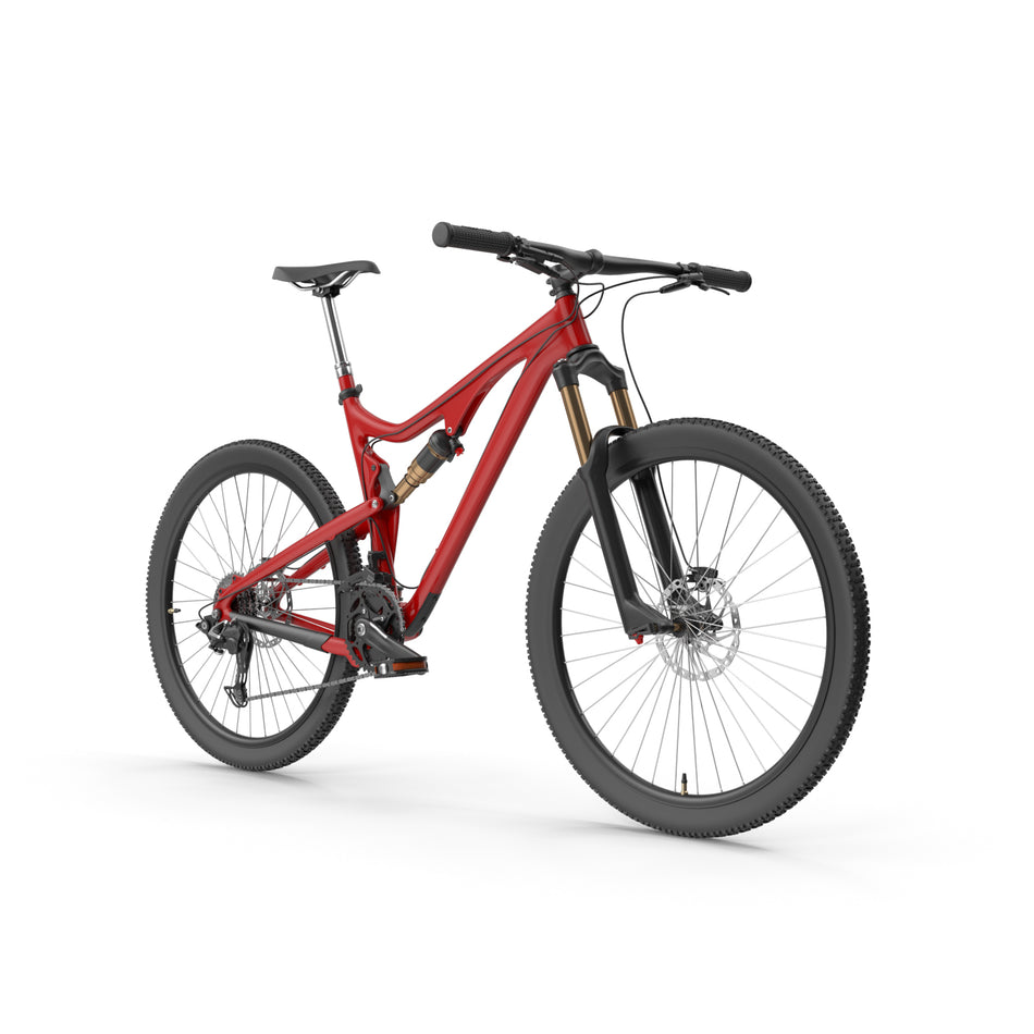 Timber Pro X3000 Moon Mountain Bike