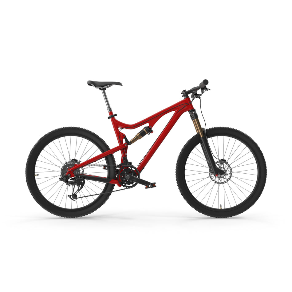 Timber Pro X3000 Moon Mountain Bike